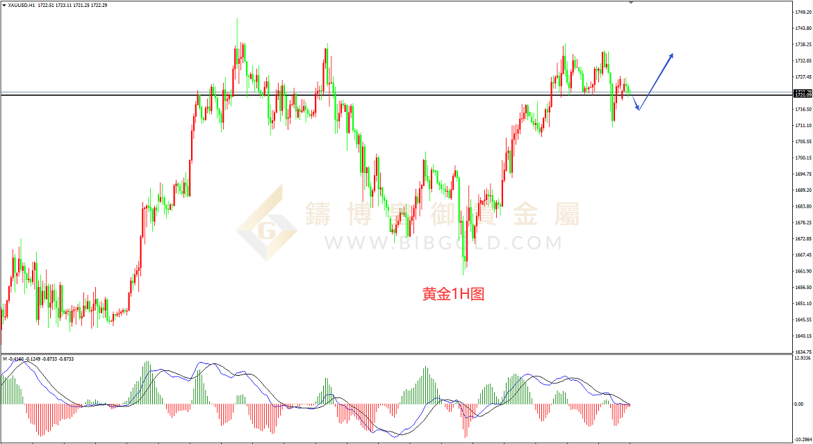 皇御黄金走势图