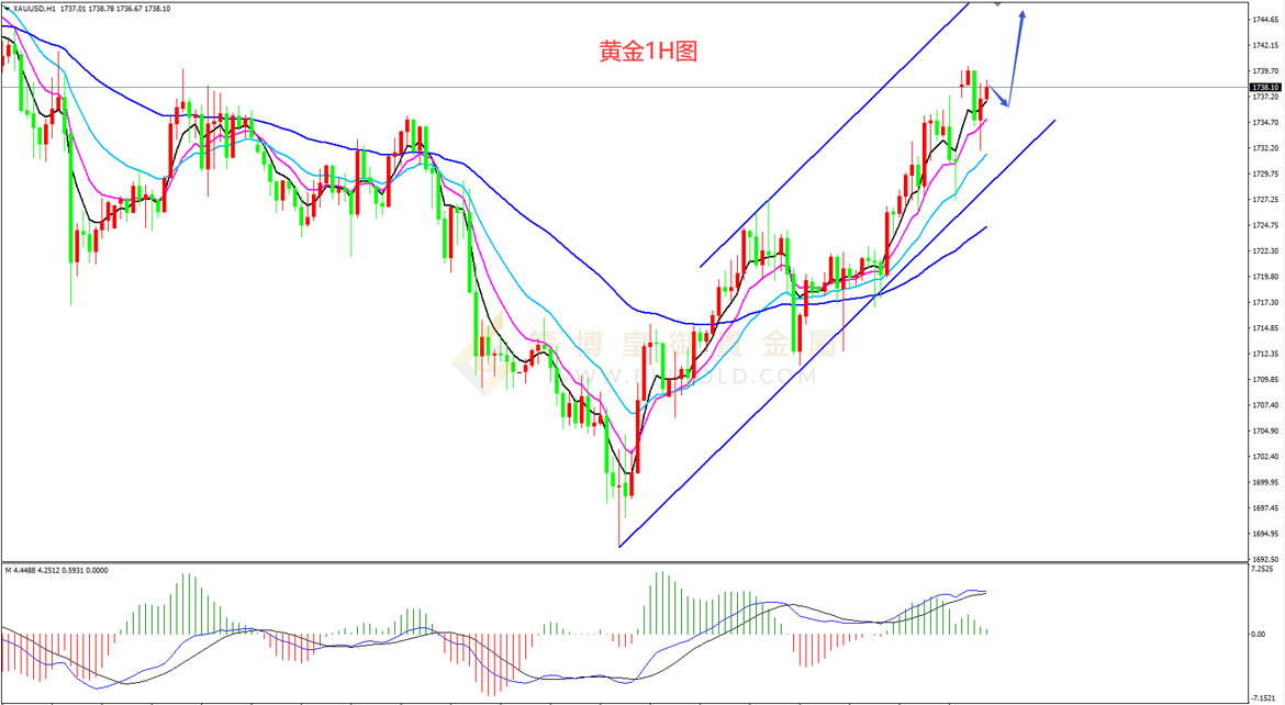 皇御黄金走势图