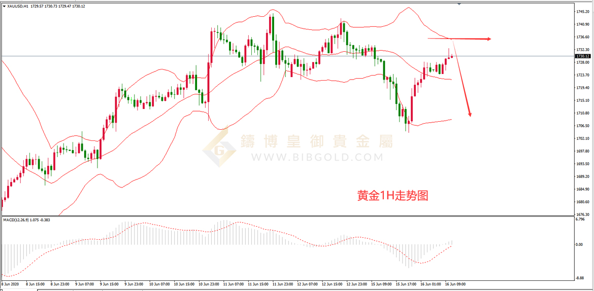 皇御黄金走势图