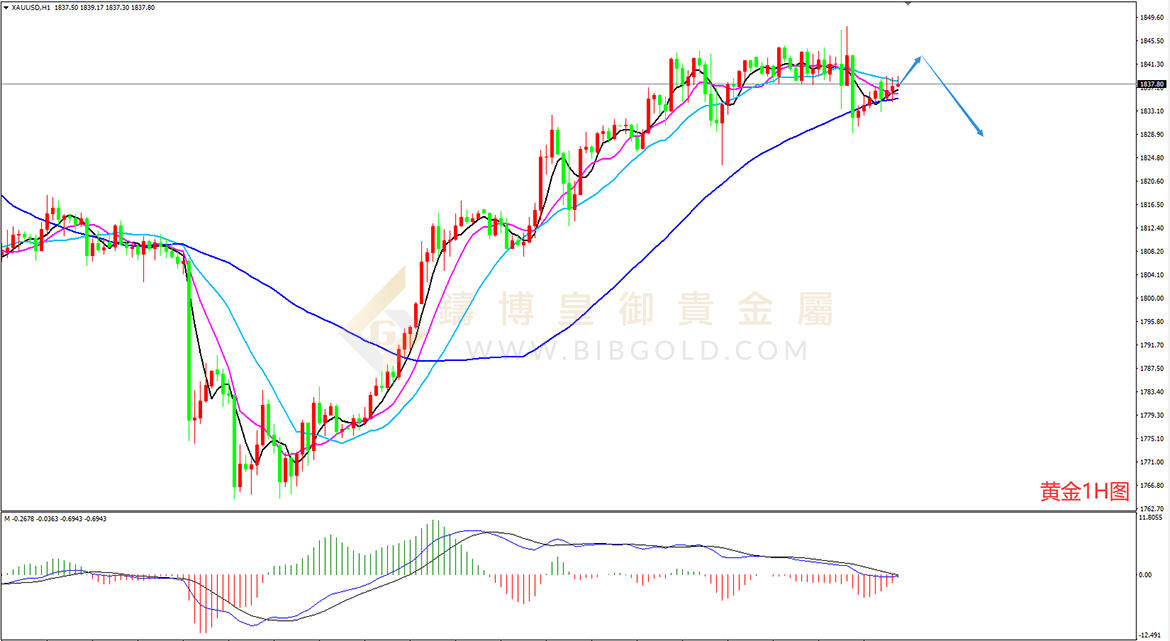 皇御黄金走势图
