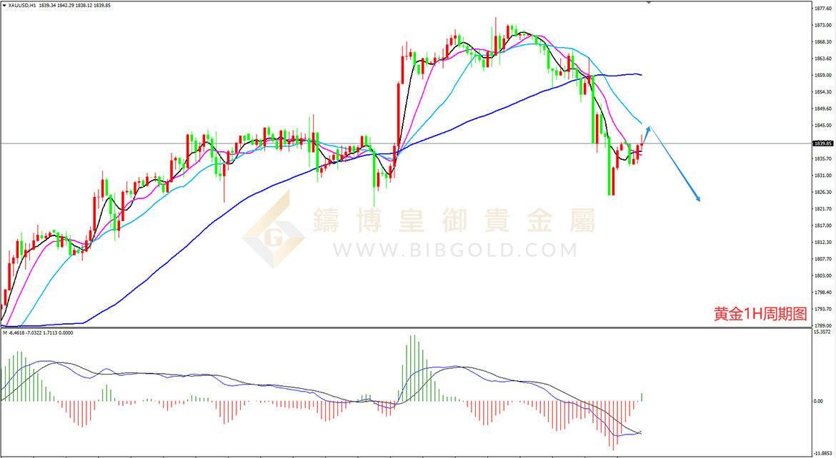 皇御黄金走势图