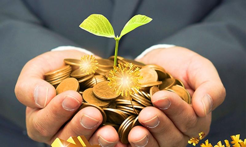 贵金属平台哪个好？平台要如何选择呢？