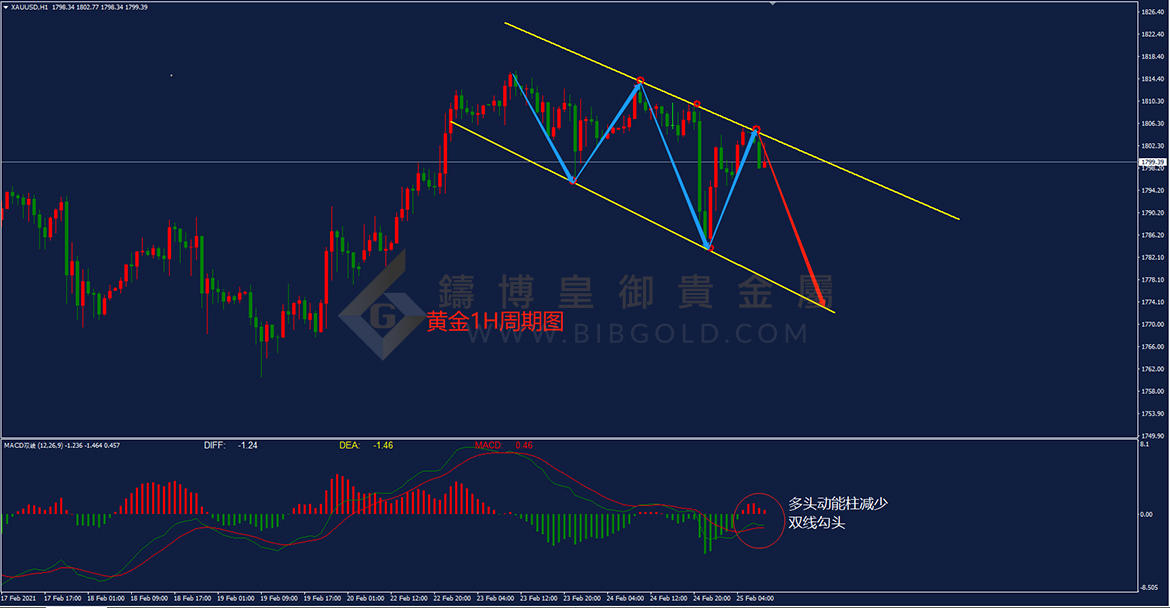 皇御黄金走势图