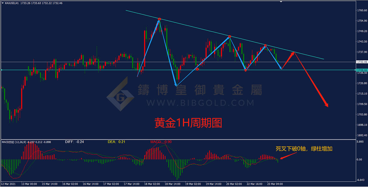 皇御黄金走势图 皇御黄金走势图