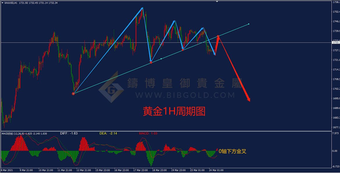 皇御黄金走势图