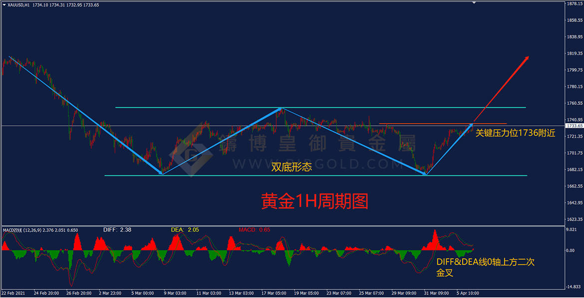 皇御黄金走势图