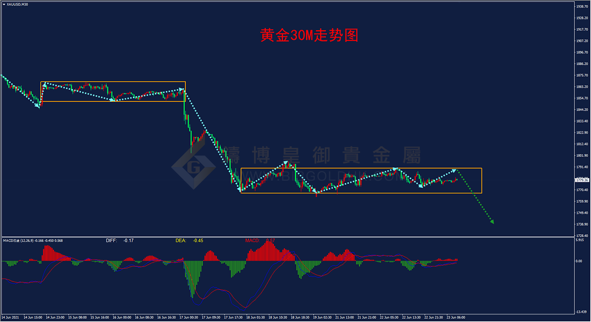 皇御黄金走势图