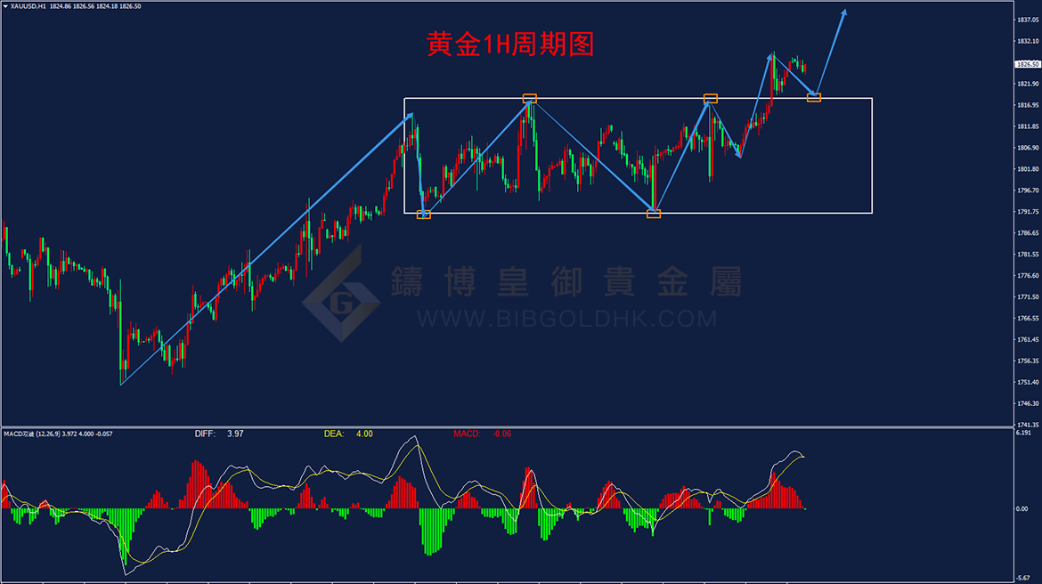 皇御黄金走势图