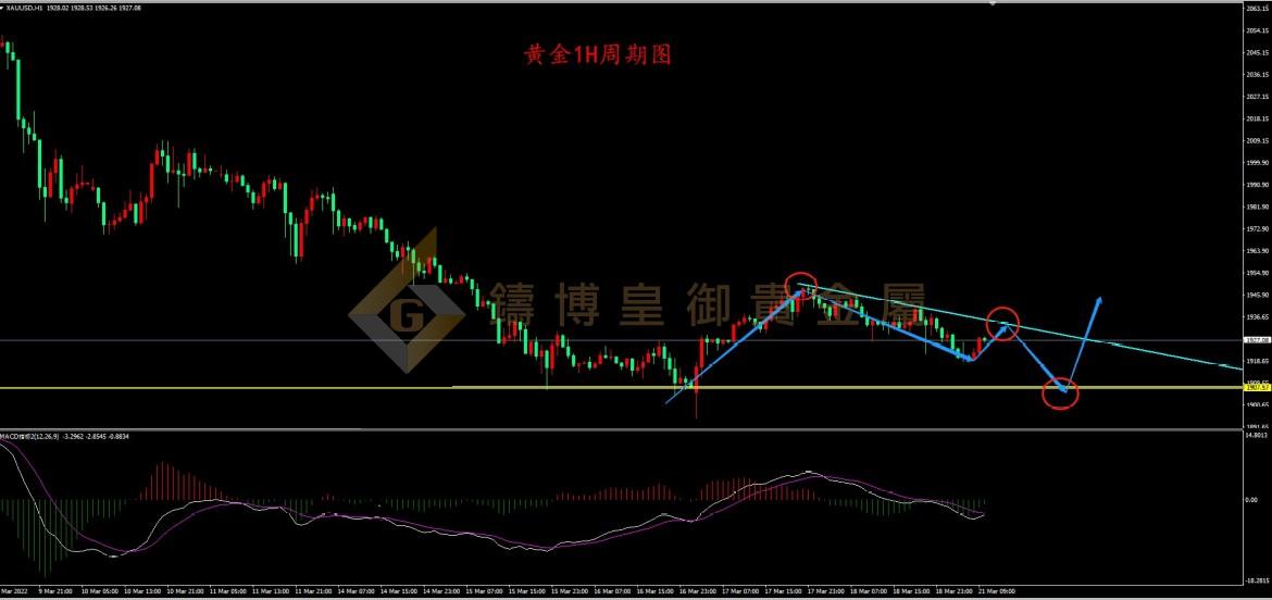 皇御黄金走势图
