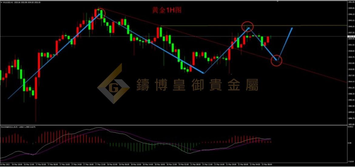 皇御黄金走势图