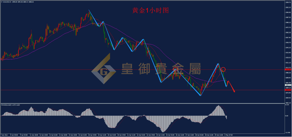 皇御黄金走势图