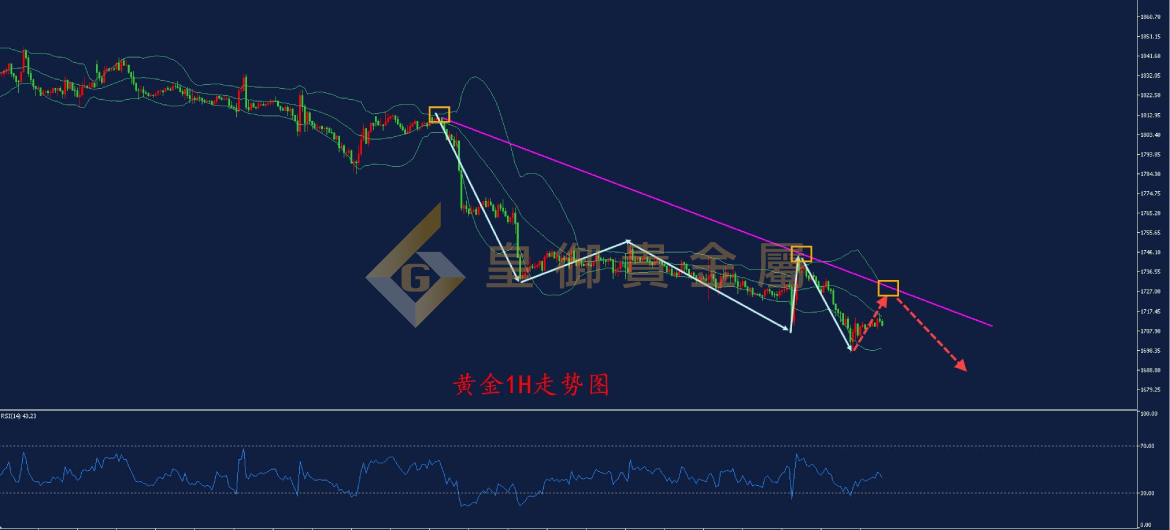 皇御黄金走势图