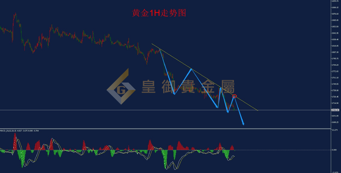 皇御黄金走势图