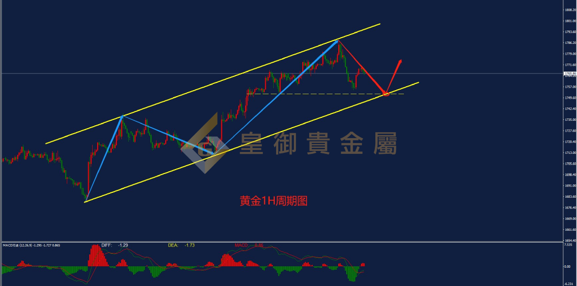 皇御黄金走势图