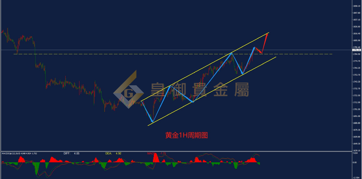 皇御黄金走势图
