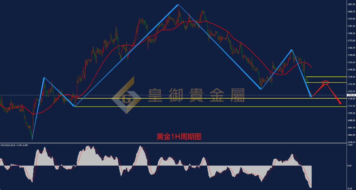 皇御黄金走势图 皇御黄金走势图