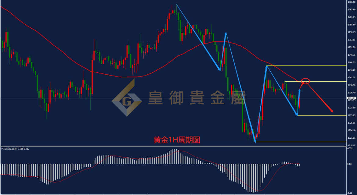 皇御黄金走势图