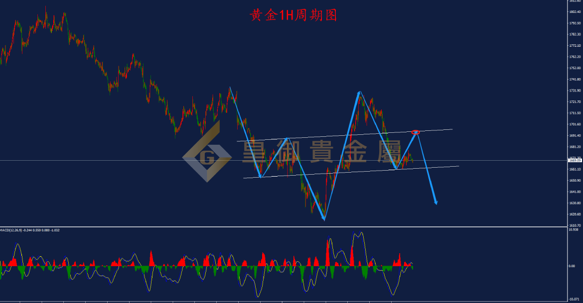 皇御黄金走势图