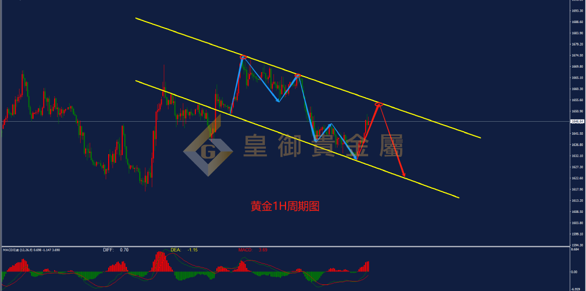 皇御黄金走势图