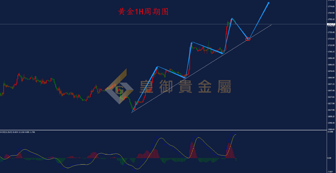 皇御黄金走势图