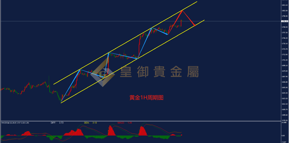 皇御黄金走势图