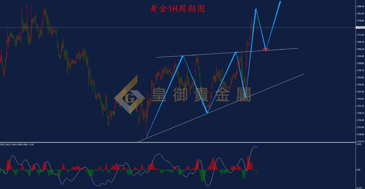 皇御黄金走势图