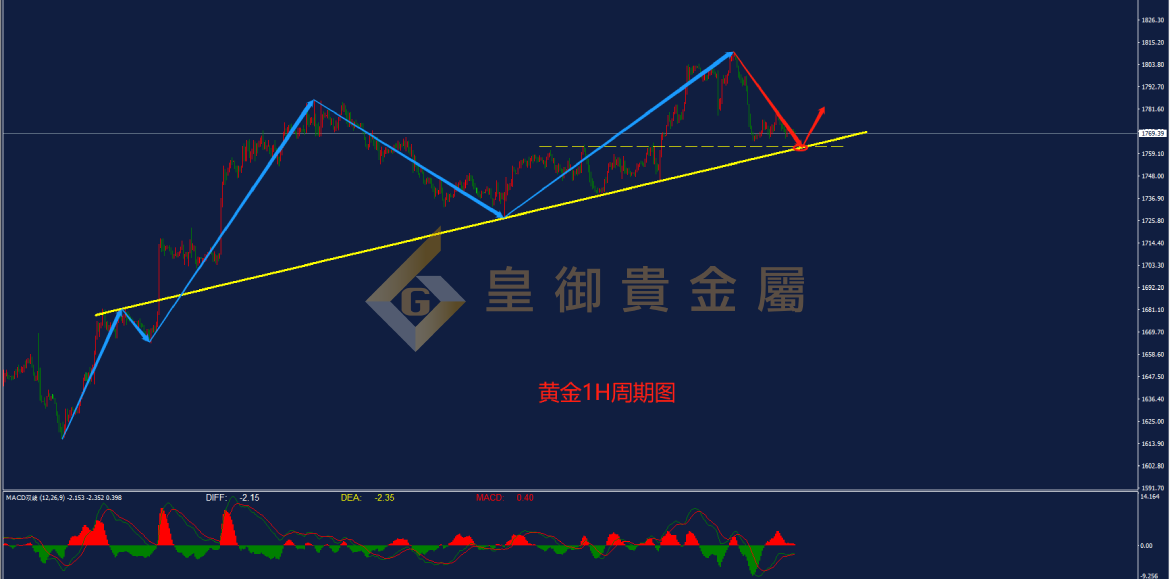 皇御黄金走势图
