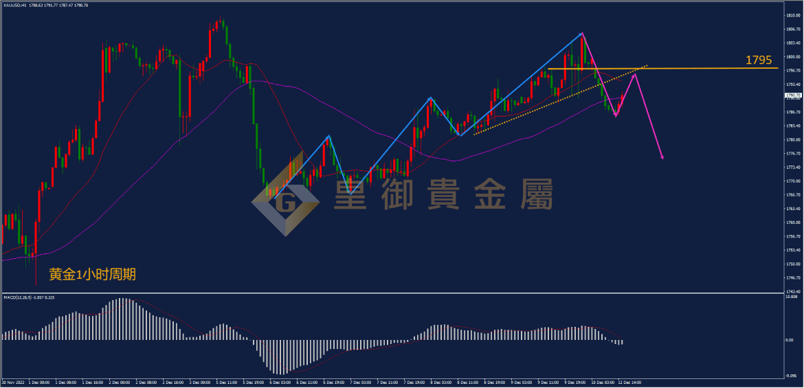 皇御黄金走势图