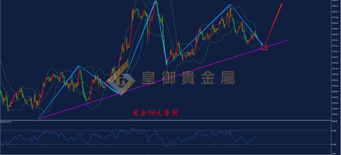 皇御黄金走势图