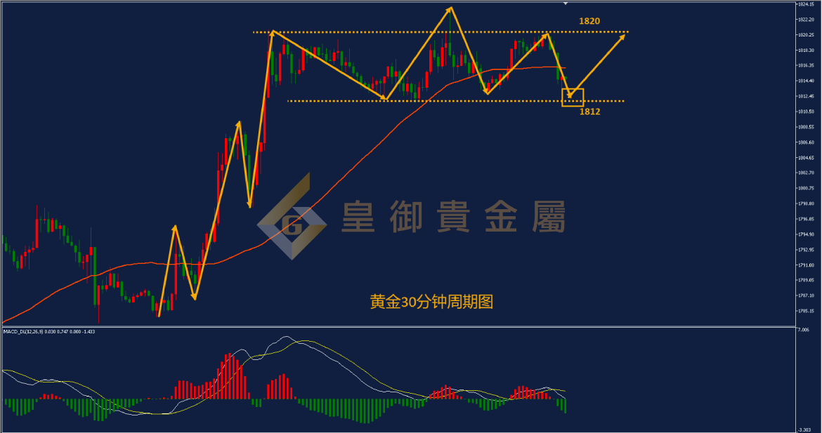 皇御黄金走势图