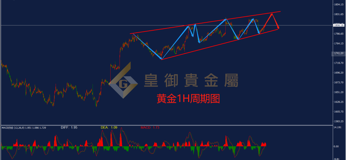 皇御黄金走势图