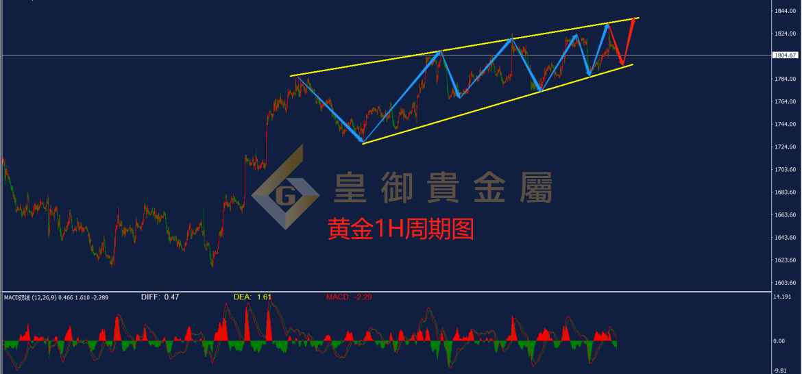 皇御黄金走势图