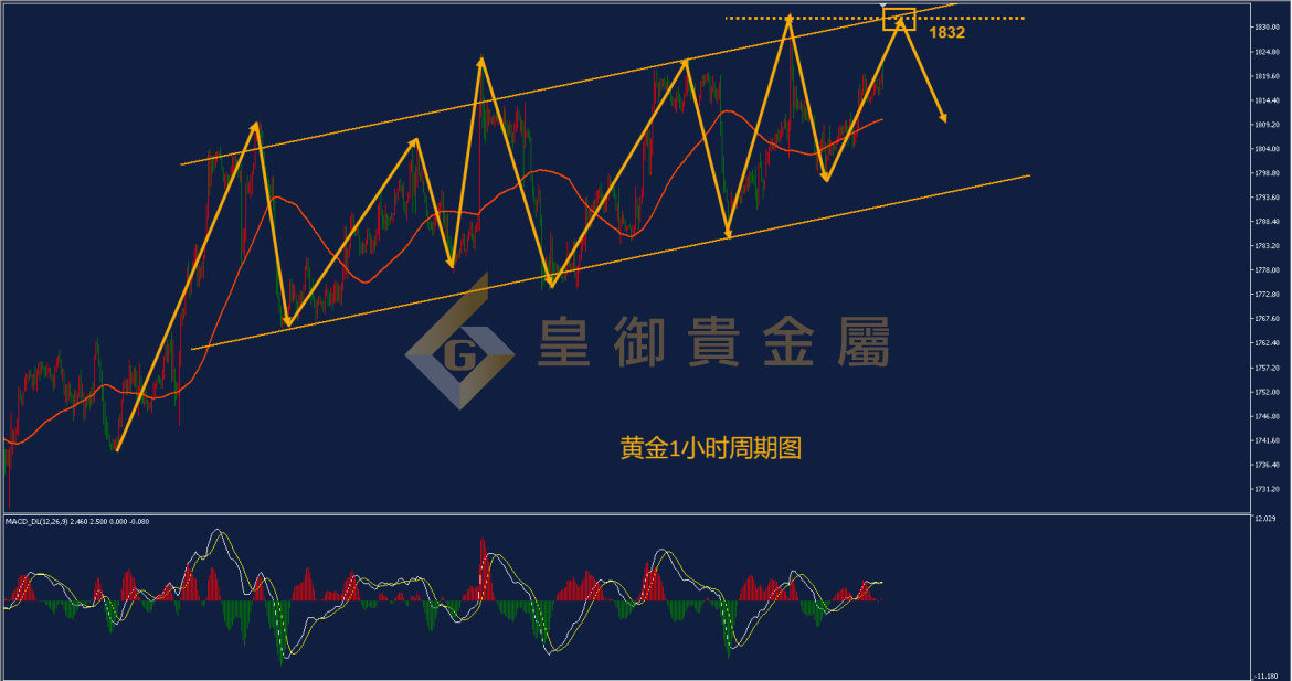 皇御黄金走势图
