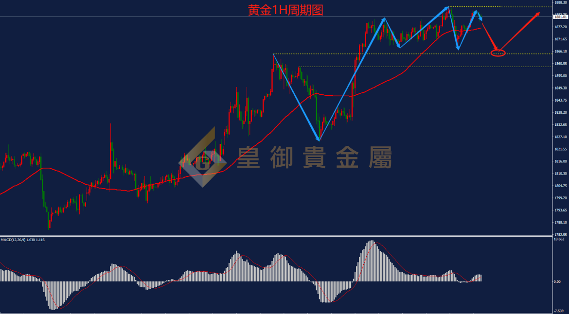 皇御黄金走势图