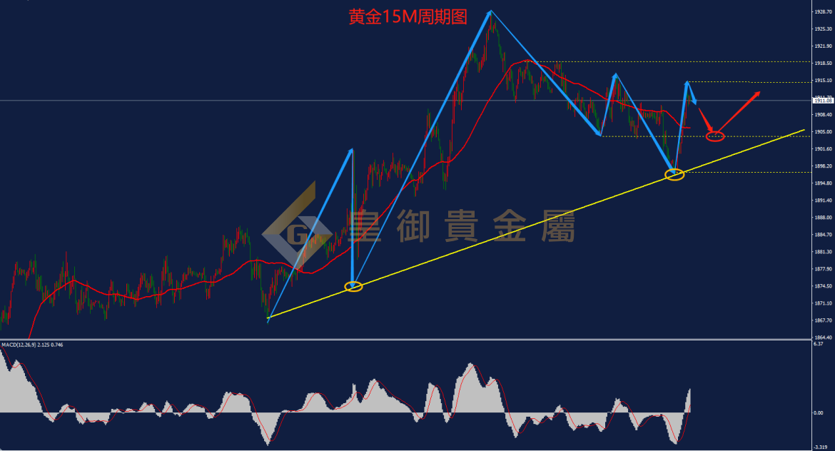 皇御黄金走势图