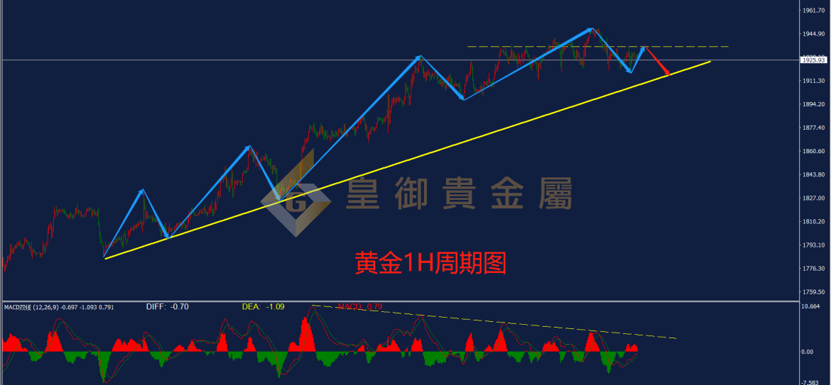 皇御黄金走势图