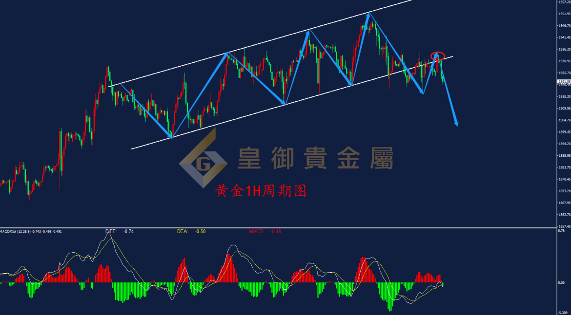 皇御黄金走势图