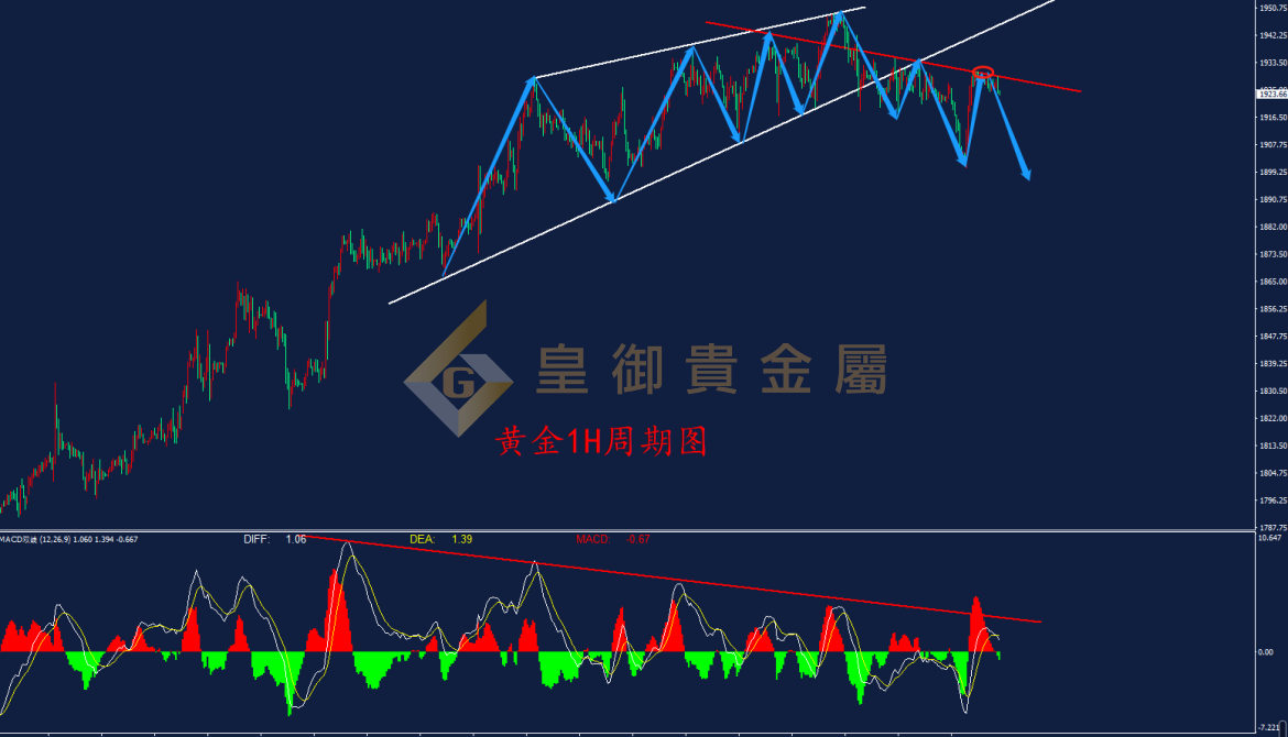 皇御黄金走势图