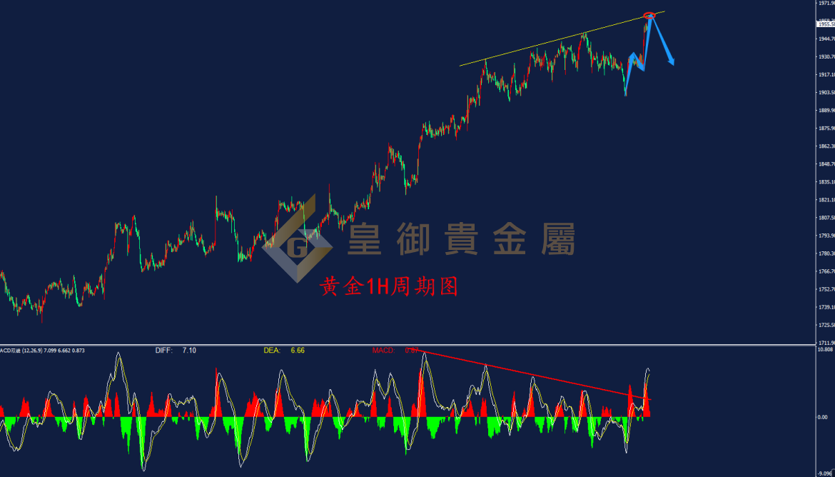 皇御黄金走势图