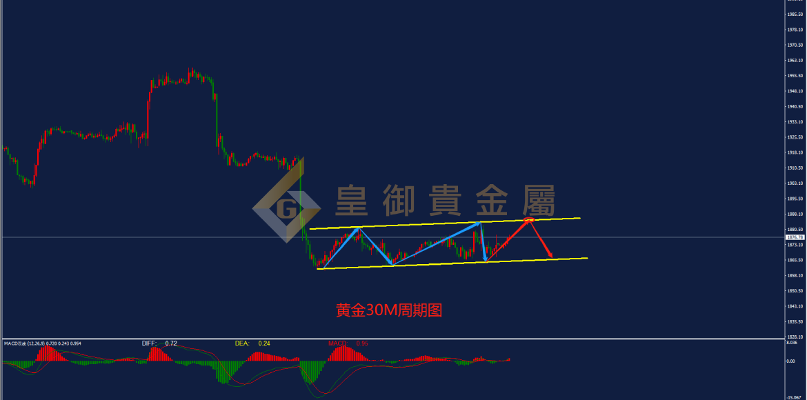 皇御黄金走势图
