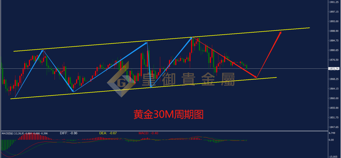 皇御黄金走势图