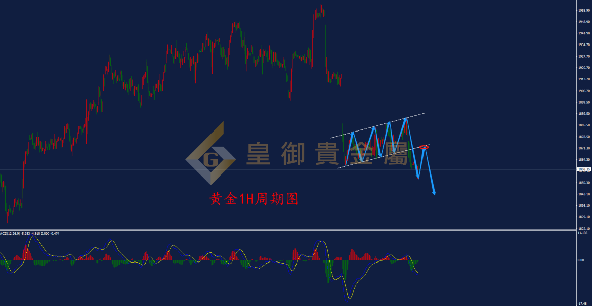 皇御黄金走势图