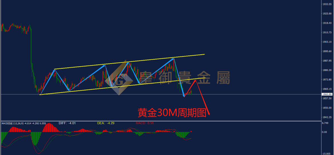 皇御黄金走势图
