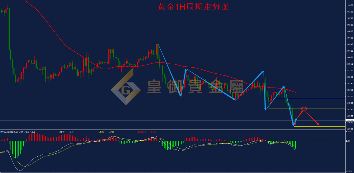 皇御黄金走势图