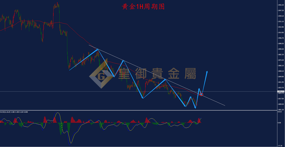 皇御黄金走势图