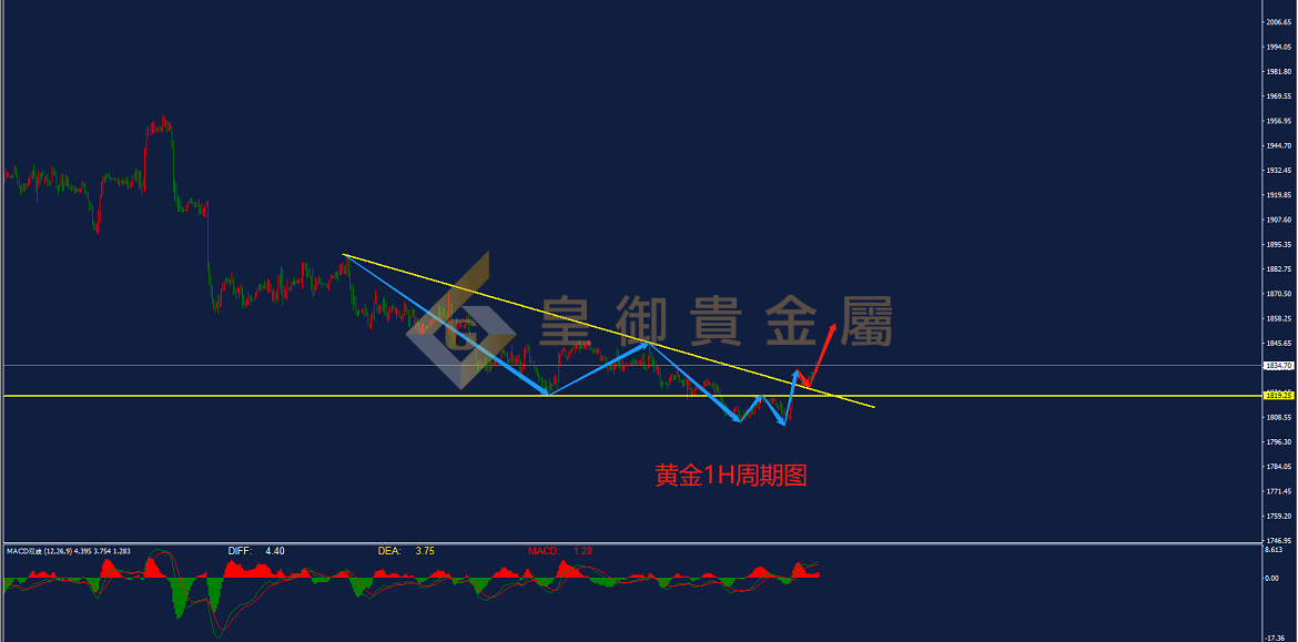 皇御黄金走势图