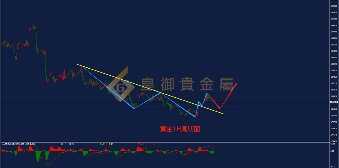 皇御黄金走势图