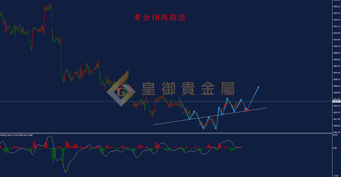 皇御黄金走势图