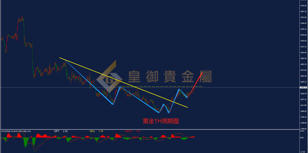 皇御黄金走势图