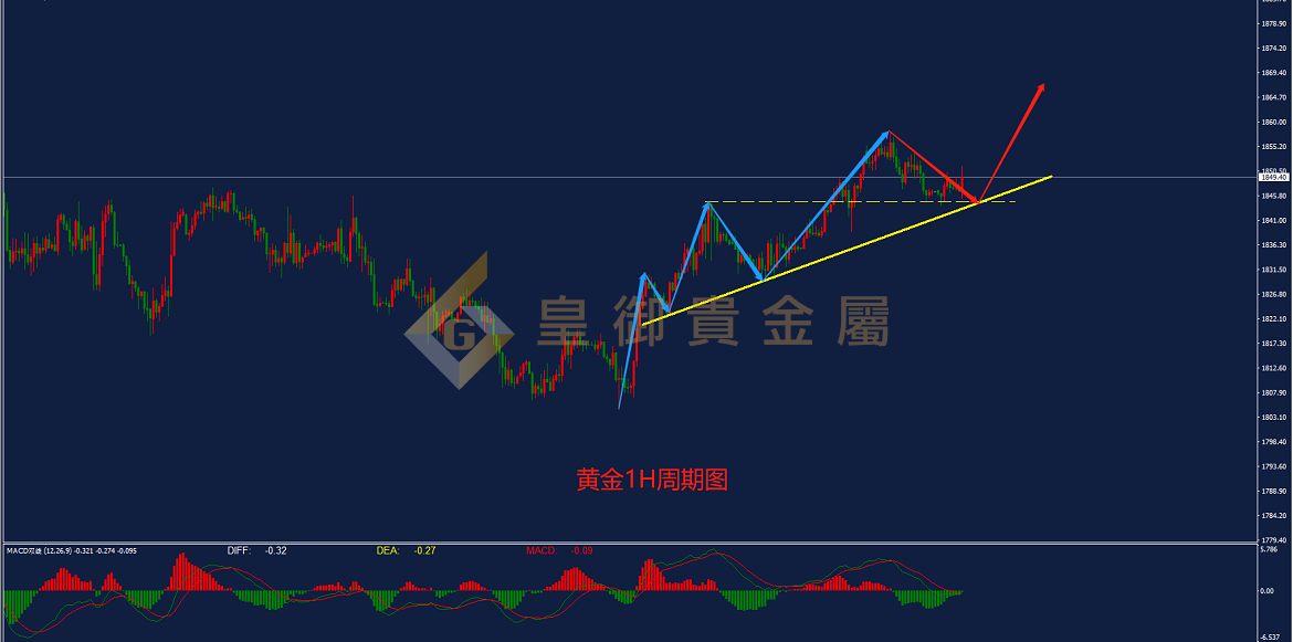 皇御黄金走势图